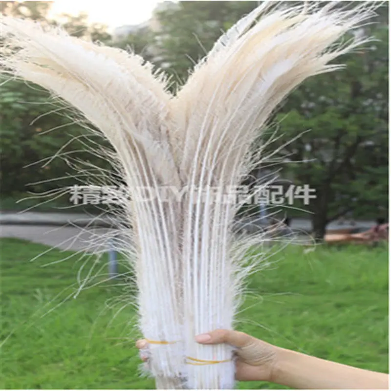 10Pcs/lot Dyeing Peacock Feathers for Crafts Length 30-35CM 12-14inch Peacock Feather Diy Jewelry Decorative Peacock Feathers