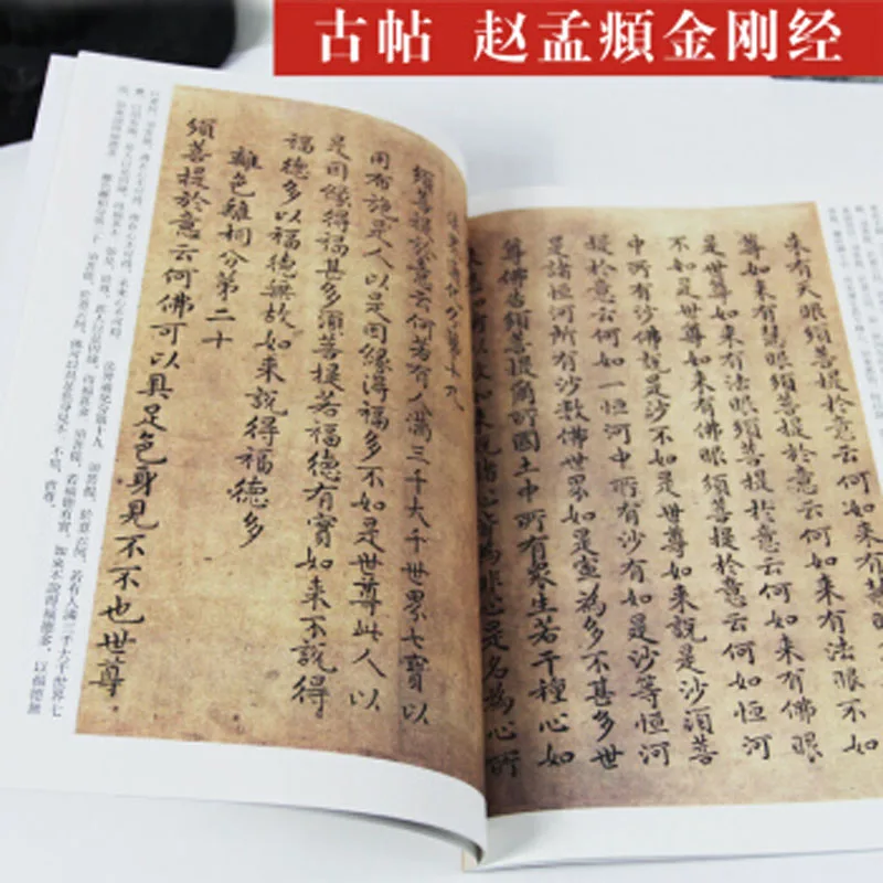 Zhao Mengfu Tao Te Ching Daodejing - Chinese Calligraphy Copybook student beginner Simple Regular Script copybook