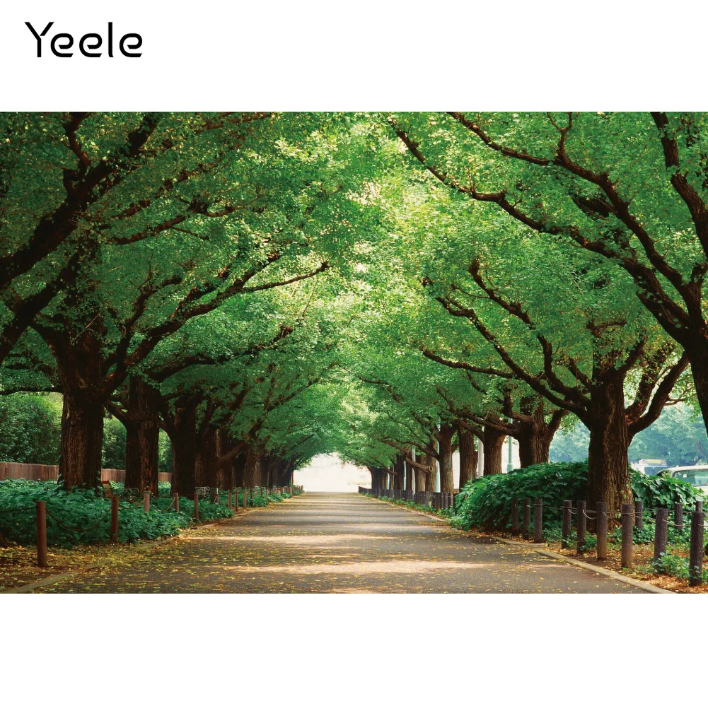 Yeele الربيع شجرة الأخضر يترك التصوير الفوتوغرافي المناظر الطبيعية خلفيات للتصوير الفوتوغرافي التصوير الخلفيات للصور استوديو الدعائم