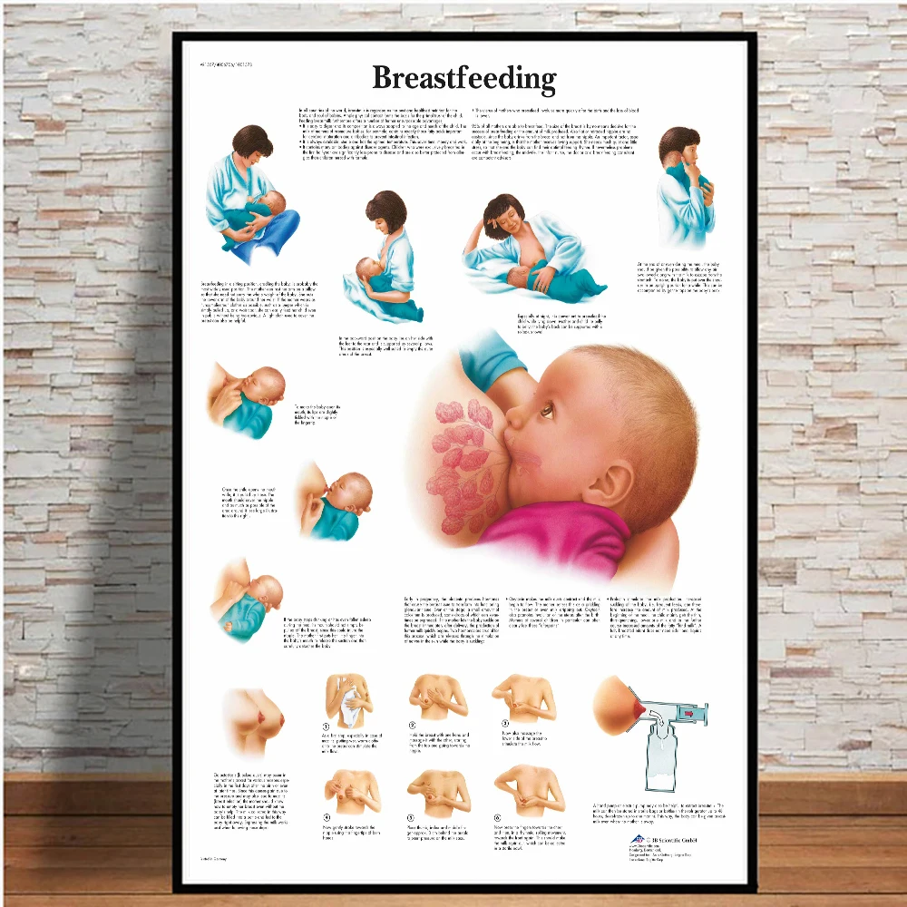 Pregnancy Childbirth Breastfeeding Maternal And Child Knowledge Propaganda Poster Canvas Painting Wall Art Pictures For Hospital