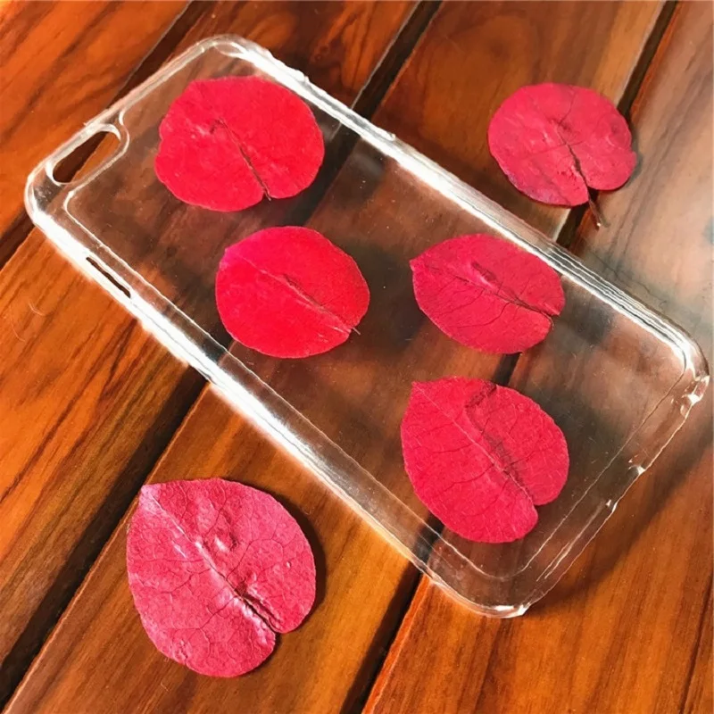 60pcs Pressed Dried Bougainvillea glabra Petals Flower For Epoxy Resin Jewelry Making Nail Art Craft DIY Accessories