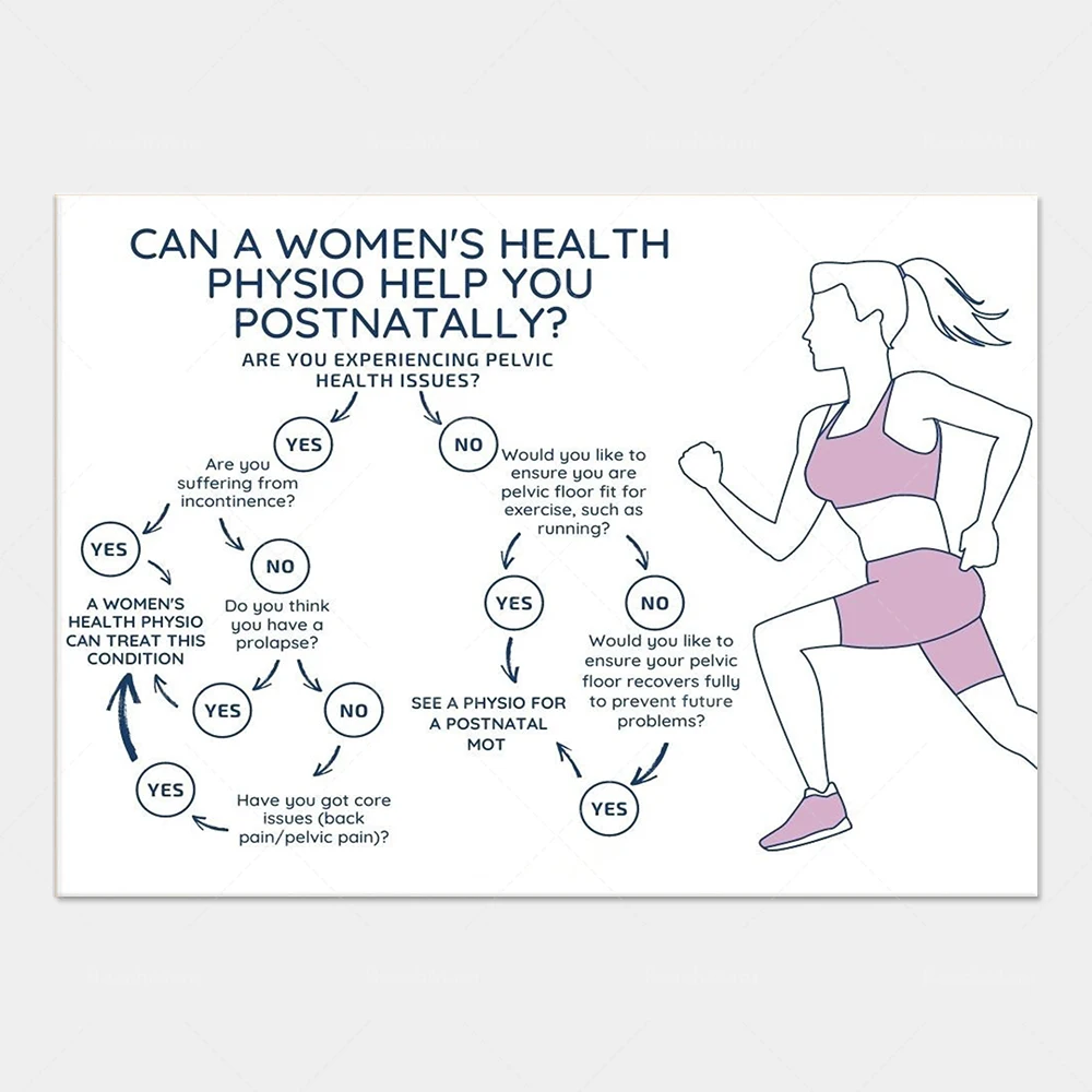 Postpartum Physiotherapy Flow Chart Anatomy Posters and Prints Illustration Canvas Picture Gift Clinic Wall Decoration