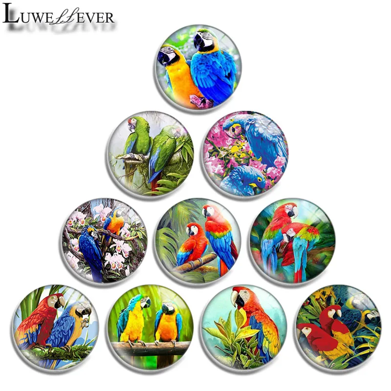 12mm 14mm 16mm 20mm 25mm 30mm 657 Parrot Mix Round Glass Cabochon Jewelry Finding 18mm Snap Button Charm Bracelet