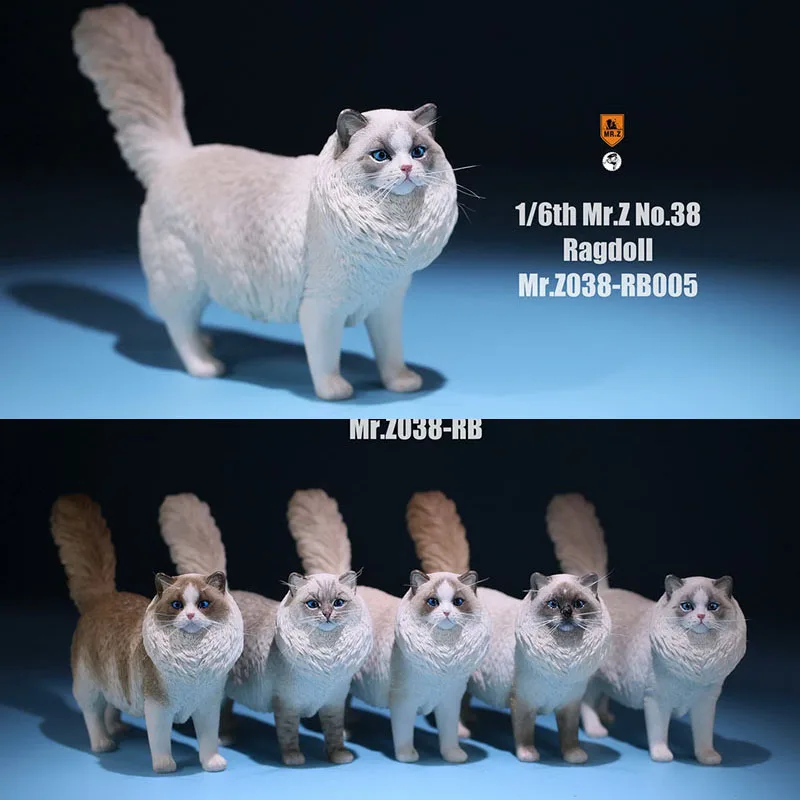 

Масштаб Mr.z 038, масштаб 1/6, Ragdoll, Игрушечная модель домашнего питомца, модель животного, милые украшения для 12-дюймовой экшн-фигурки, демонстрация сцены