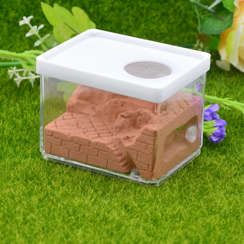 New Ecological Plaster Ant Farm square Nest Landscaping Ant House Ant Nest Workshop Pet Anthill Insect Box  10.3*7.6*7.5cm