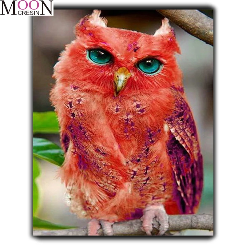 

Animals Diy Diamond Painting Red Owl Branches Diamond Embroidery Cross Stitch Diamond Mosaic Full Square Round Drill Rhinestones