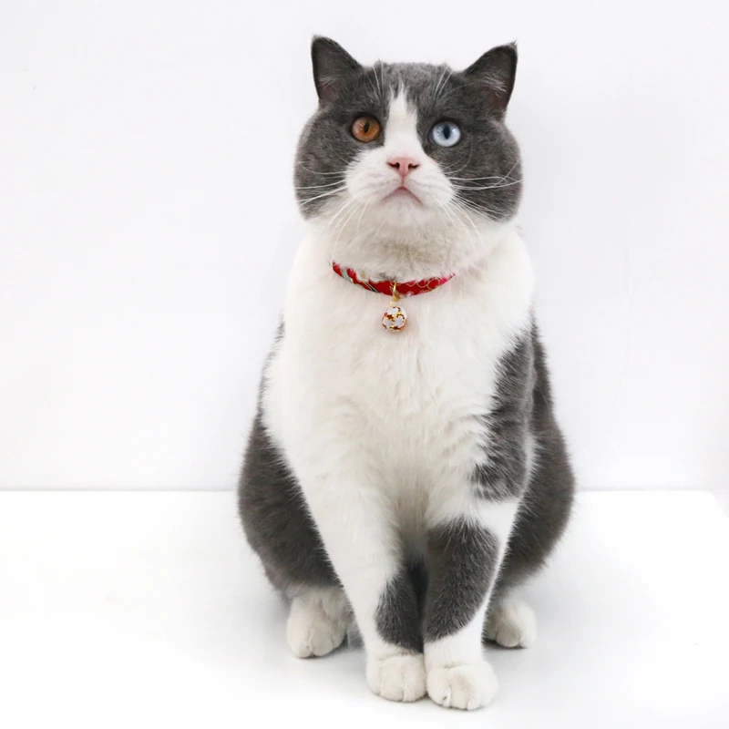 Japanese Style Cat Collar with Hollow Bell, Adjustable Safety Buckle, Puppy Kitten Necklace, Pets Chihuahua, Rabbit Bow Tie