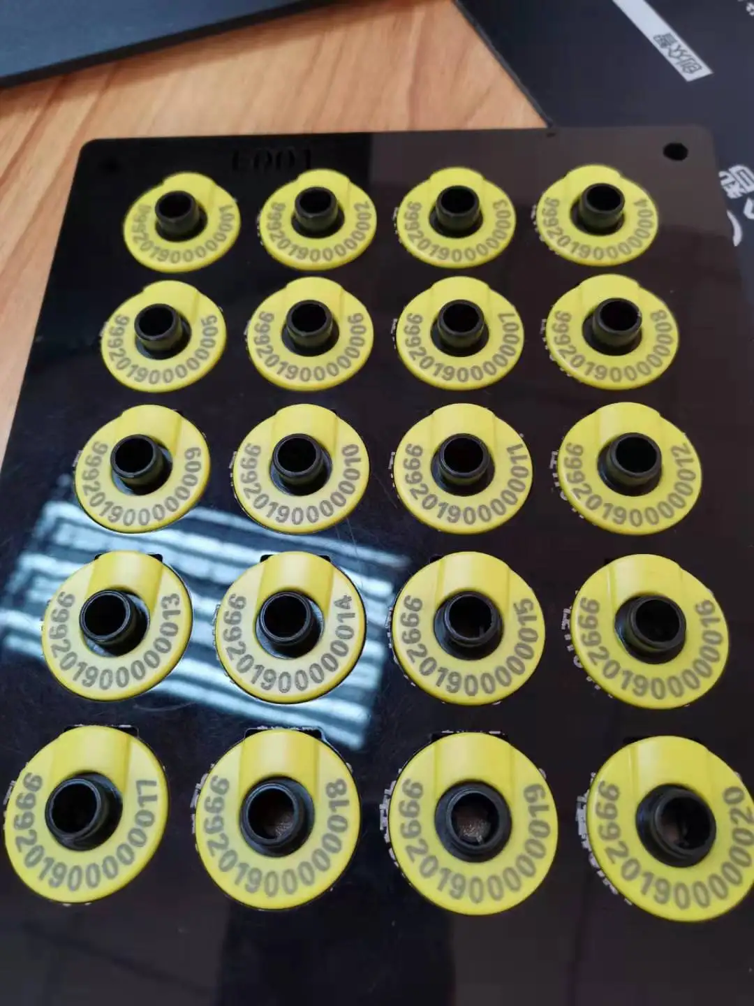 1000pcs EM4305 ear tag