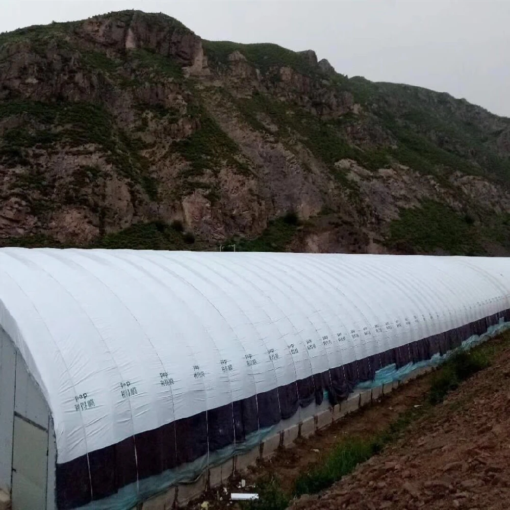 8M*30M Black and white film greenhouse for farming sheep, pigs and chickens