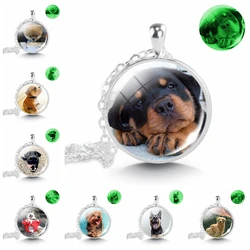 Luminous Dog Photo Necklace German Shepherd Rottweiler Teddy Corgi Dog Glass Cabochon Animal Glow In The Dark Jewelry Gift
