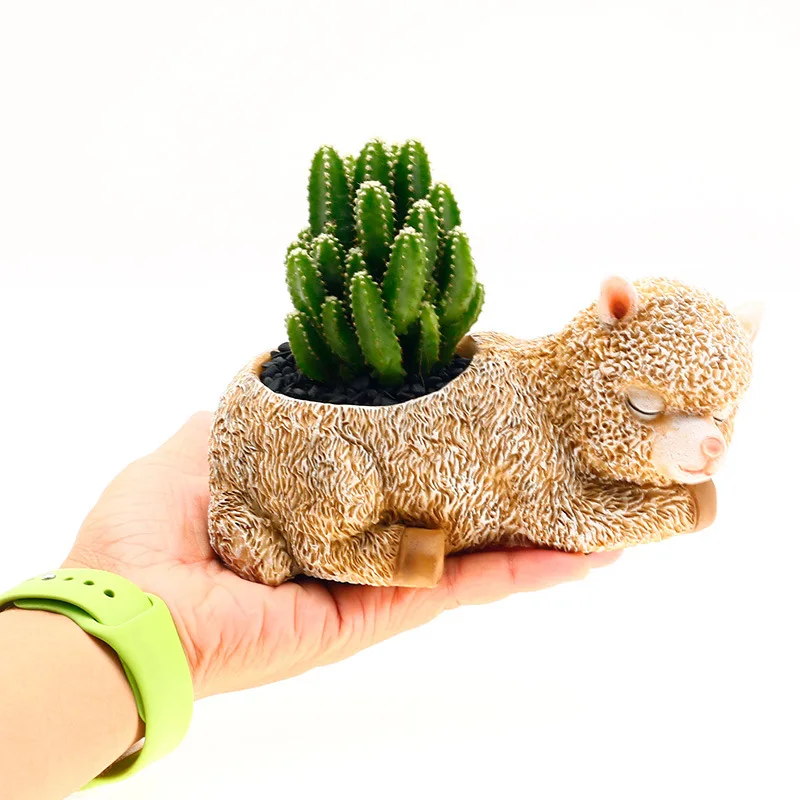 

Cartoon Desktop Ornaments Unilam Alpaca Succulents Flower Pot Resin Ornaments Succulent Planter Flower Pots Decorative Planters