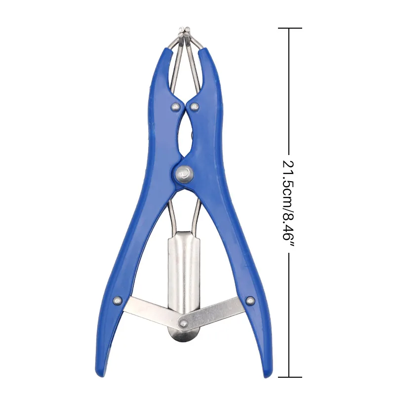 sheep Castration Forceps With High elastic tendon rubber Castration Rings Pig Piglet Cutting Tail Docking Clamp Farm Animal Tool