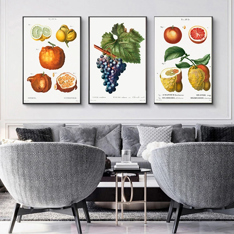 Vintage Cavans Painting Grapes Peaches Oranges Various Fruits Posters Prints Wall Art Picture for Living Room Home Decor Cuadros