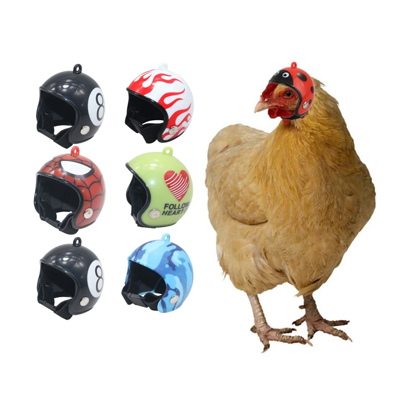 Helmet 1 Pcs Chicken glasses 10 Pcs Pet chicken helmet Protective chicken glasses Pet personality decoration Chicken hard hat