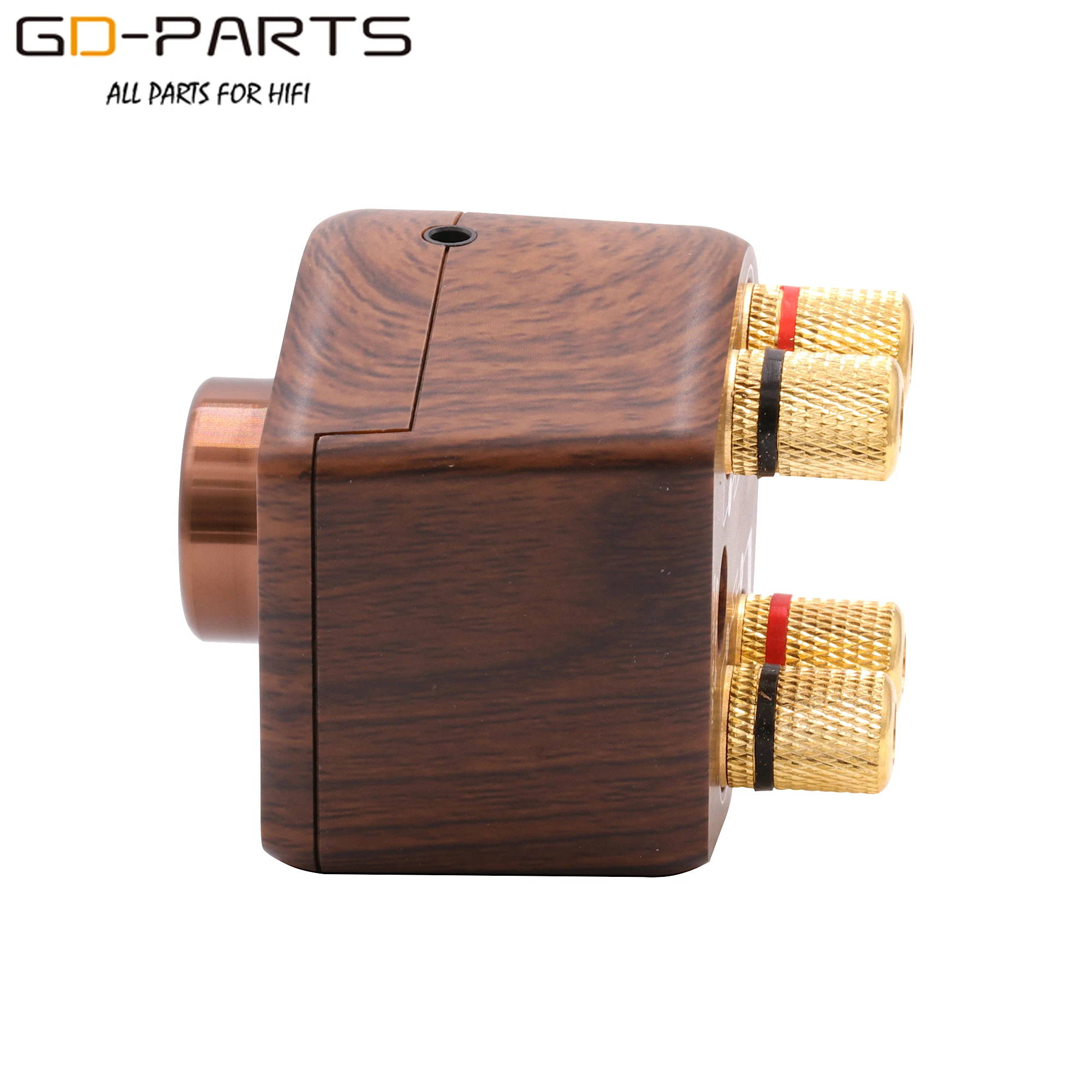 Mini Stereo Hifi amplificatore di potenza digitale TPA3116 Desktop AMP Home Theater supporto Bluetooth 5.0 USB AUX Player 50Wx2