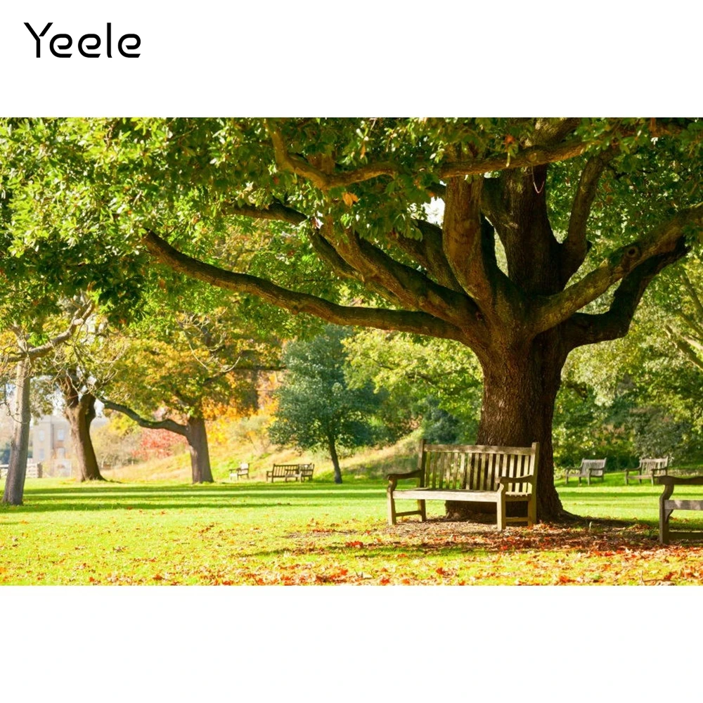 Yeele Autumn Fallen Leaves Park Tree Nature Scenery Photography Backdrops Photographic Decoration Backgrounds Photo Studio