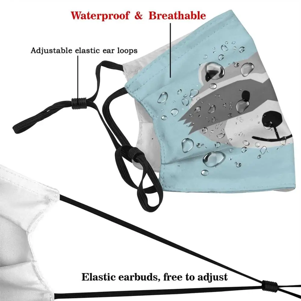 Willy Raccoon Mask Adult Child Washable Pm2.5 Filter Logo Creativity Racoon Robber Cute Animals Forest Carolina Delight Children