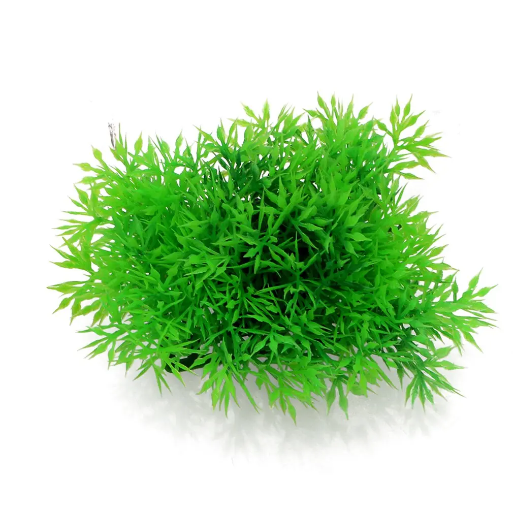 Simulation Of Aquatic Fish Tank Landscaping Simulation Plant Viewing Pine Needles With Base Small Grass