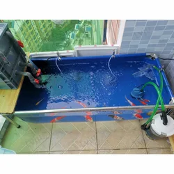 Lvju Luxury Decoration Small Fish Tank Aquaponics Marine Aquarium For Alive Fish