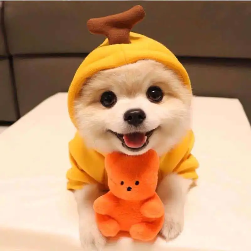 Warm Fleece Winter Cute Pet Dogs Clothes Apple Banana Carrot Fruit Cartoon Puppy Clothing for Small Medium Dogs Pet Cats Costume