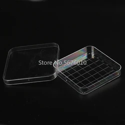 10pcs/lot 10*10cm Lab Disposable Sterile Plastic Square Petri Dishes with With Grid Line Culture Plates Bacterial Yeast