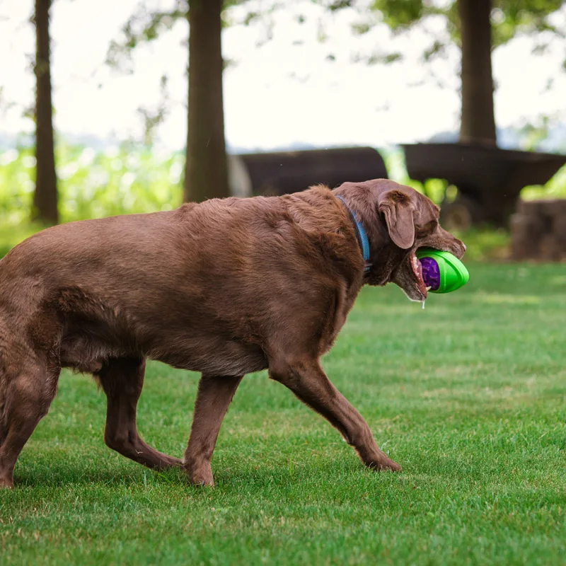 CAITEC Dog Toys Football for Dogs Floatable Squeaky Hard and Firm Fit for Outdoor Throwing Suitable for Medium to Large Dogs