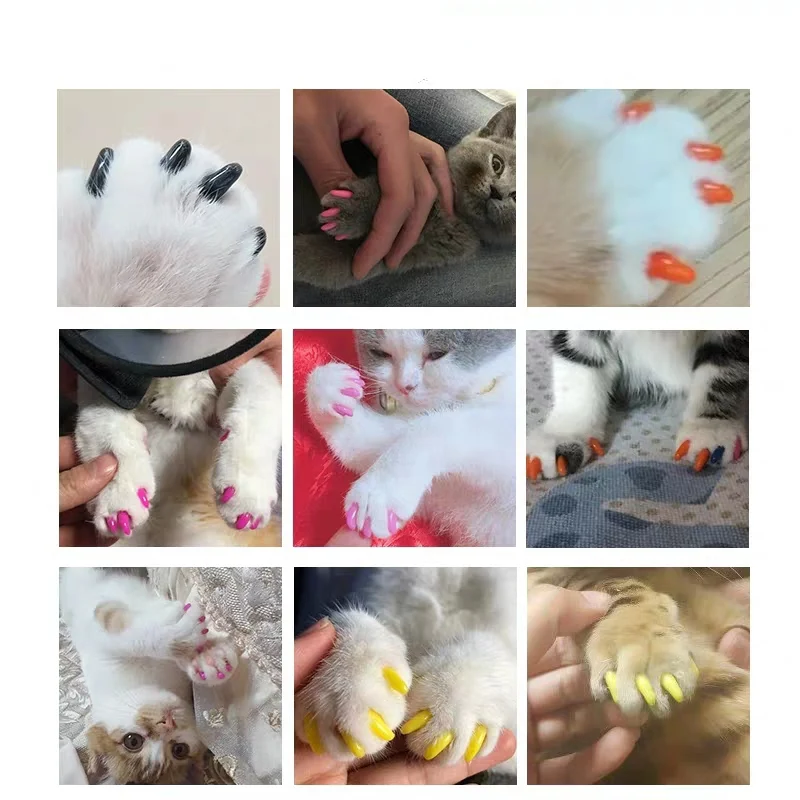 20pcs/set Pet Dog Cat Nail Cover Silicone Soft Cat Nail Caps Paw Claw Protector Prevent Scratching Colorful Beautiful Fingernail