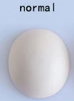 오렌지