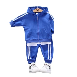Spring Autumn Children Casual Clothes Baby Boys Girls Cotton Zipper Hoodies Sport Pants 2Pcs/sets Kids Infant Fashion Tracksuit