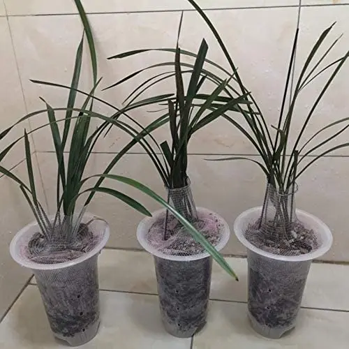 Macetas de orquídeas, maceta de plantación de flores, florero de jardinería, contenedores de plástico de red hidropónica, agujeros de jardín con plántulas de drenaje