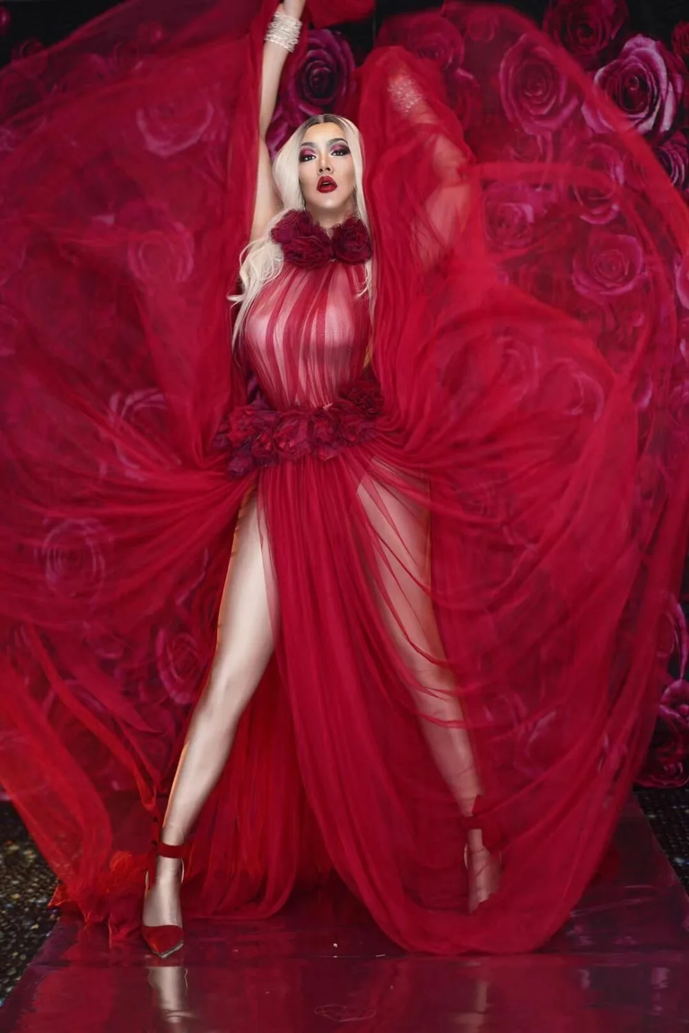 

See Through Dress Red Flowers dresses Birthday Celebrate Dress Evening Bar Singer Show Stage Outfit Dance Long Dress