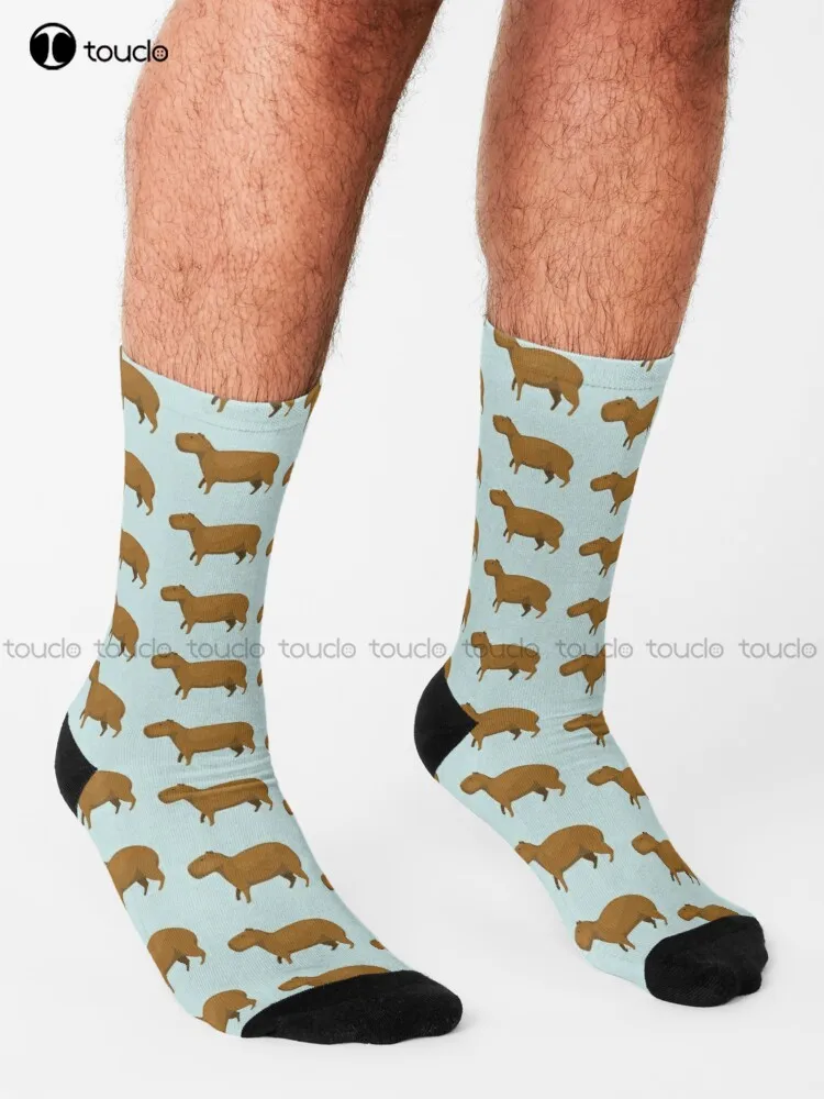 Capybara Illustration Capybara Animal Rodent Wildlife Socks Youth Socks Personalized Custom Unisex Adult Teen Youth Socks