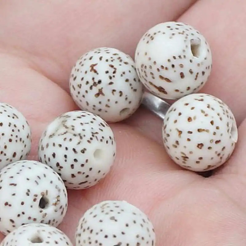 10PCS Natural Original White Star Moon Lotus Bodhi Seeds Round 9mm 10mm 12mm TSB0537 