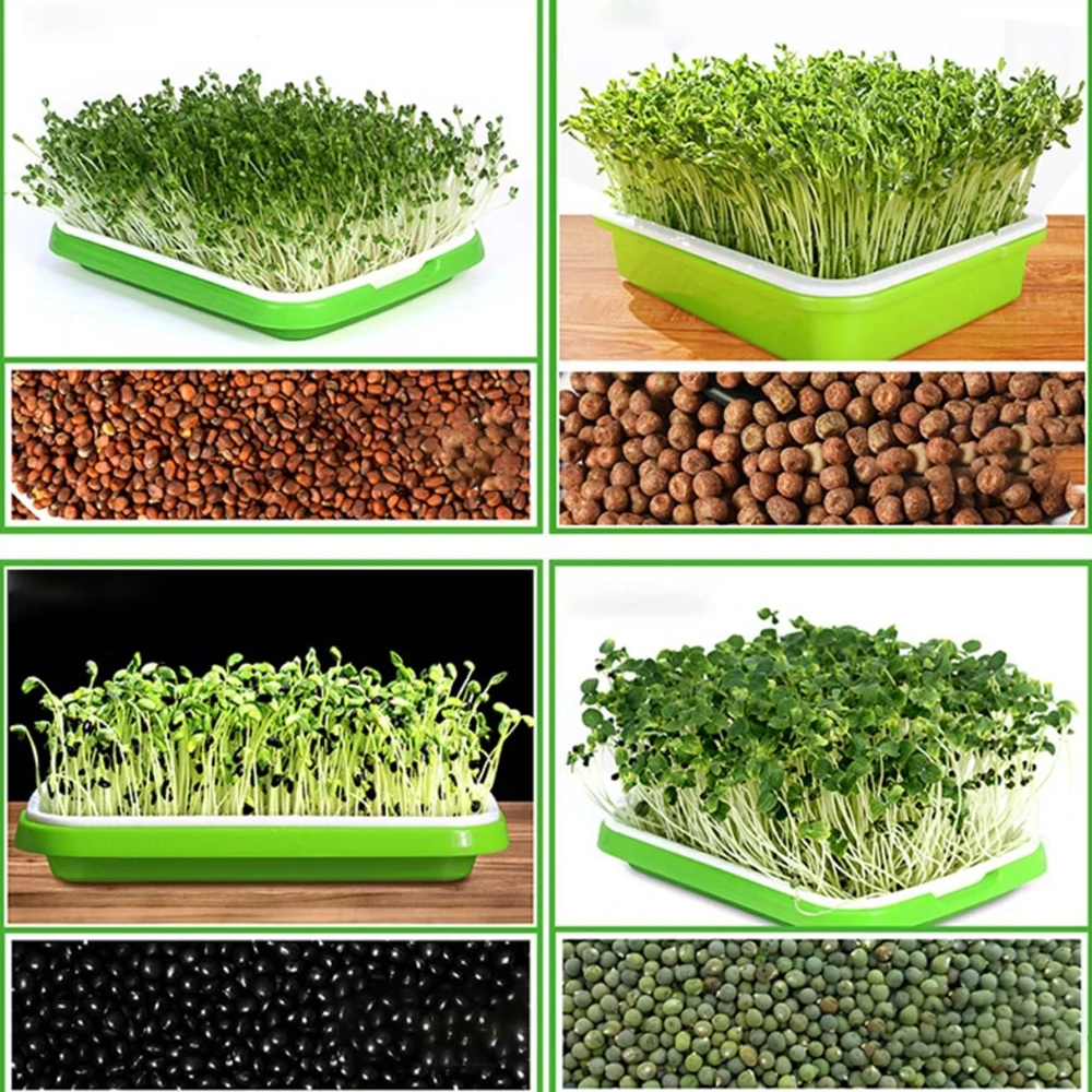 Seed Sprouter Tray BPA Free PP bezglebowa duża pojemność zdrowa z pokrywą sadzonka kiełkowa płyta roślina hydroponiczna doniczki