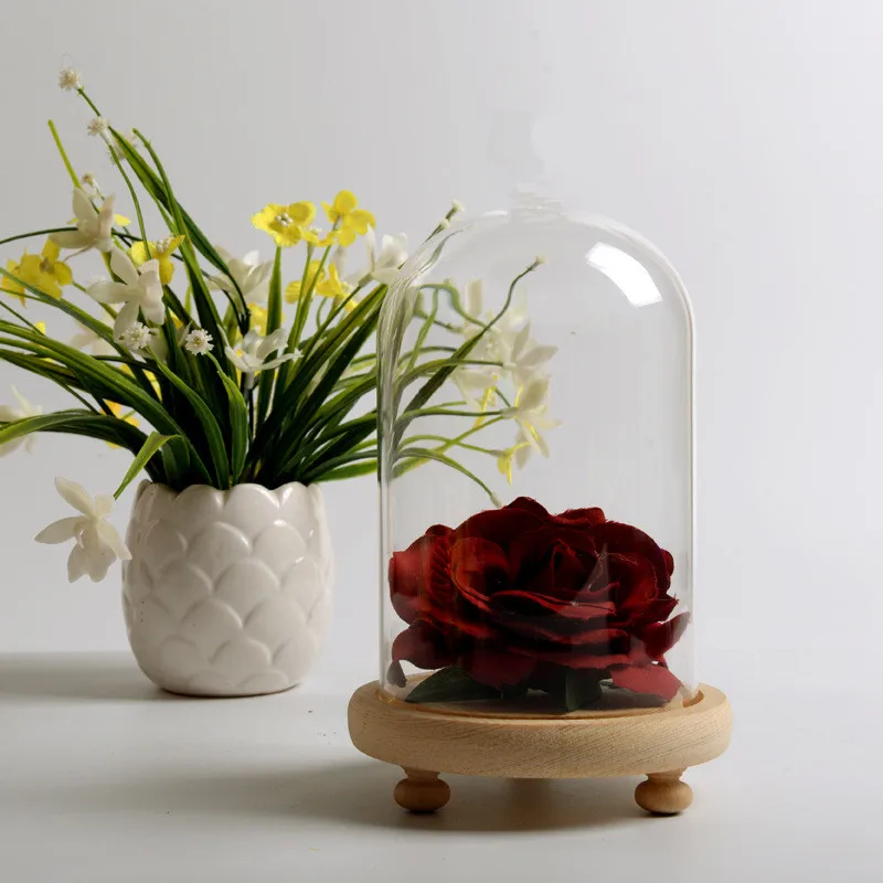 2sets/pack 12*26cm Big Size Transparent Glass Dome Vase Home Decoration Three Legs Log Base Cover Friend Gift Wedding Live Prop