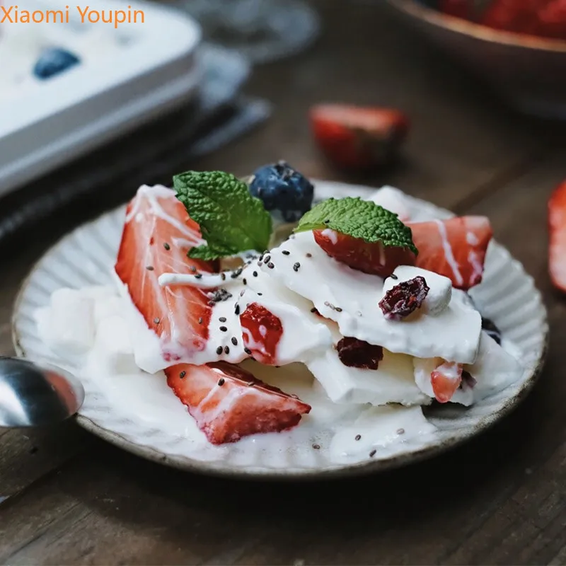 YOUPIN-304 Aço inoxidável Mini máquina de gelo frito, Cream Maker, Saftable sem plug-in iogurte, 2pcs pá