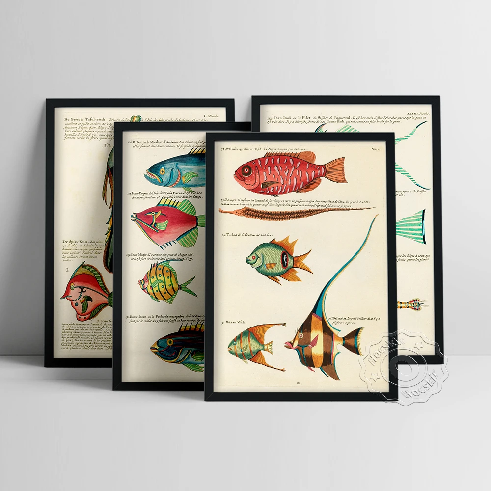 The Beautiful Fish Louis Renard Poster, Whimsical Fish Marine Life Illustration Prints, Vintage Fisk Picture, Gallery Wall Decor