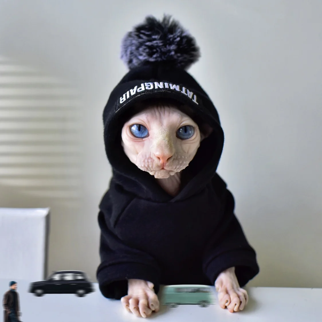 Chic cat costume for  Cat Hooded Sweater Winter Thicken Warm Sphinx Clothes  Devon Rex Kitty Outfits Hairless Cat Clothes