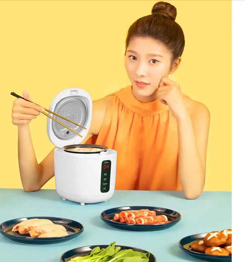 ミニ家庭用電気炊飯器,220v,800ml,焦げ付き防止,マルチポータブル,食品用