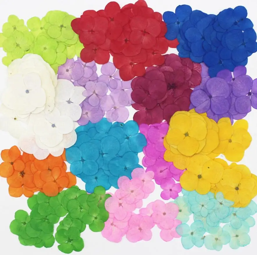 20pcs Pressed Dried Hydrangea Flower Herbarium For Nail art Epoxy Resin Pendant Necklace Jewelry Making Craft DIY Accessories