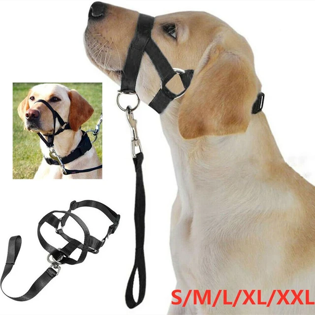 Adjustable Nylon Dog Muzzle Anti Barking Anti Bite Harness Head Collar Muzzle Dog Halter Training Leash Leader Classic Collar AliExpress