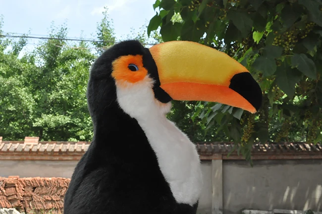 Niedlicher Tukan-Vogel-Plüschtier, ca. 26 cm, Simulation, Tukan, weiche Puppe, Kinderspielzeugauto, Dekoration, Geburtstagsgeschenk, H0695