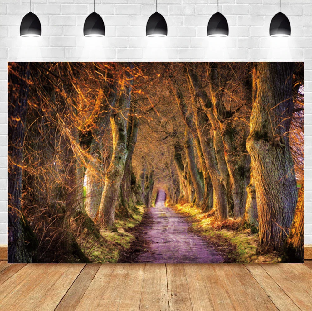 Laeacco Road Ancient Old Trees Dusk Landscape Room Decoration Portrait Backdrop Photographic Photo Background For Photo Studio