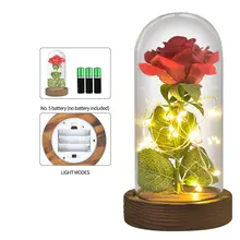 Eternal Rose in Glass Dome with LED Light #4