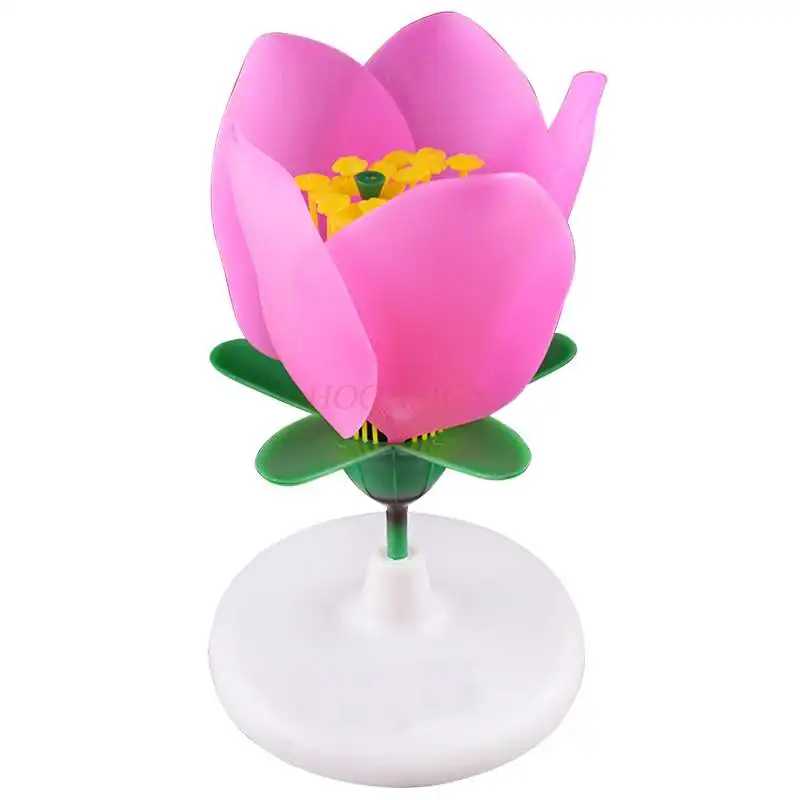 Peach Blossom Model Pistil Enlargement Model Five-petal Ovary Stamen Enlarged Flower Structure Peach Blossom Anatomy Model