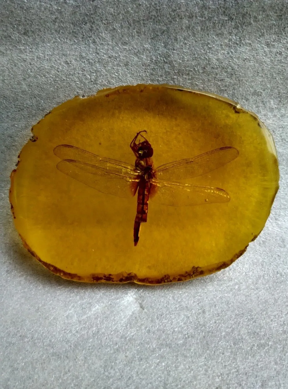 A Collection Of Ancient China.Amber Dragonflies