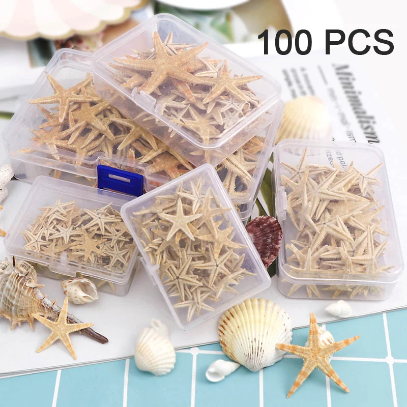 1Box 20/50/100pcs Natural Starfish Seashell Beach Craft Natural Sea Stars DIY Beach Wedding Decoration Crafts Home Decor