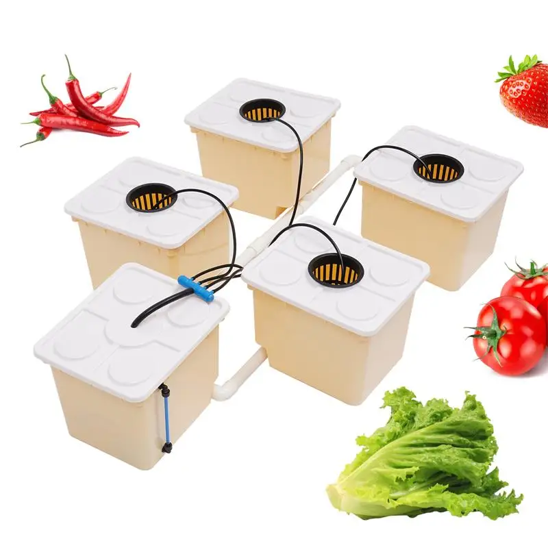 Buckets Drip Growing System High Production Hydroponics Seedling Nursery Plant Germination Box & Aeroponic Propagation Kit