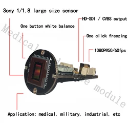 1/2 IMX385 1080P 60FPS HD-SDI kamera medyczna kamera endoskopowa moduł PCB obsługuje zamrażanie jednym kliknięciem i AWB i obsługuje OSD