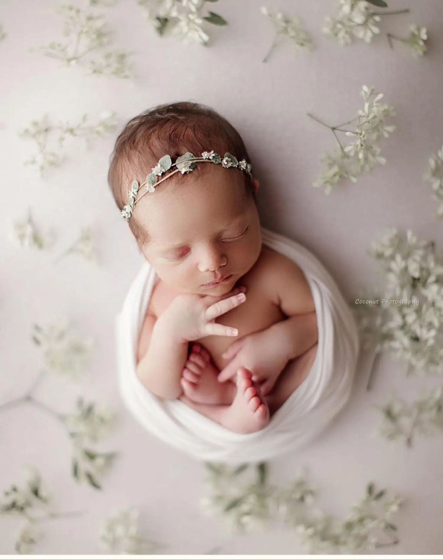 Coconut Newborn Photography Props  Fresh Daisy real flower headdress headdress baby full moon 100 days one year old baby